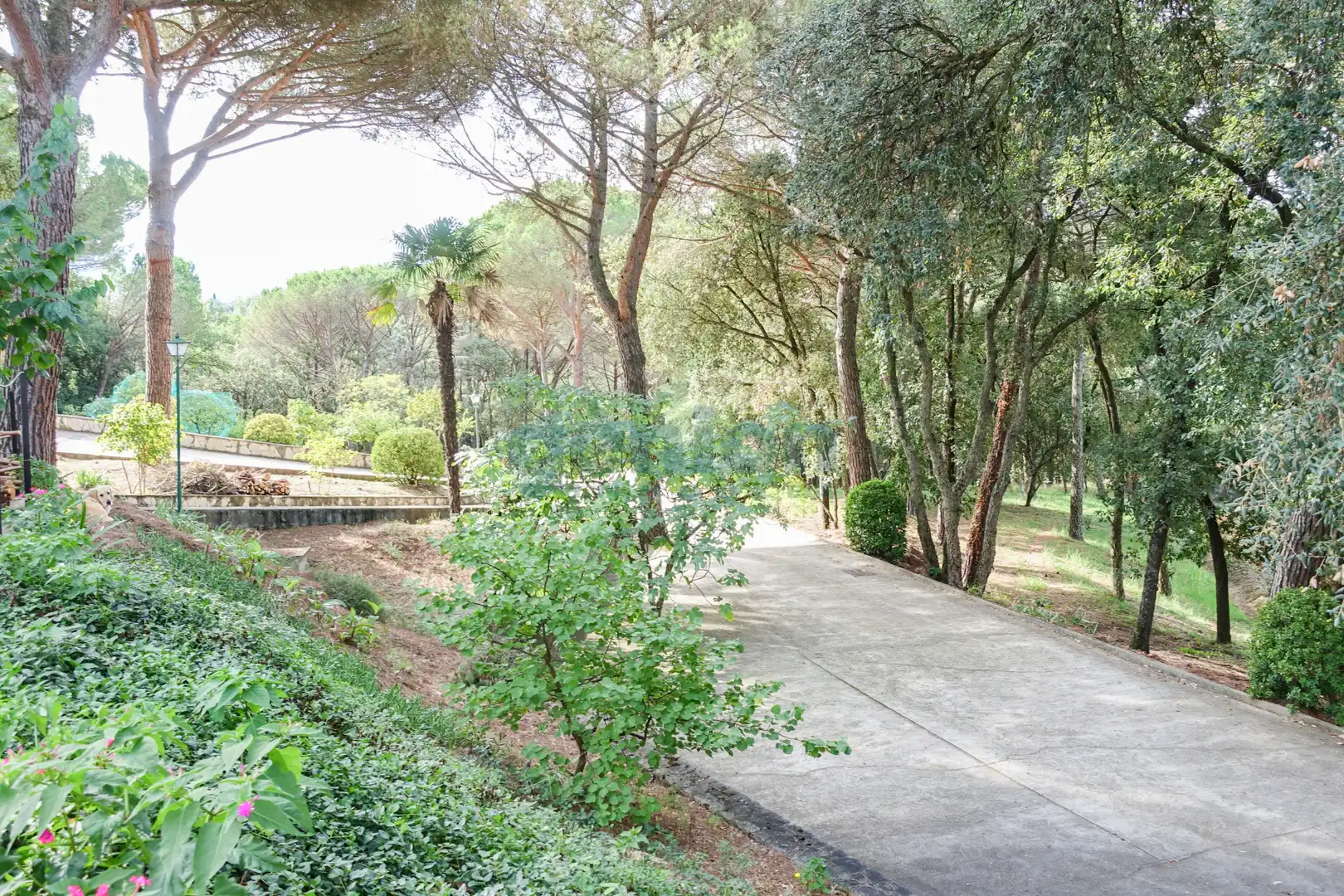 Haus mit Pool zum Verkauf in Sant Feliu de Buixalleu, imagen 72