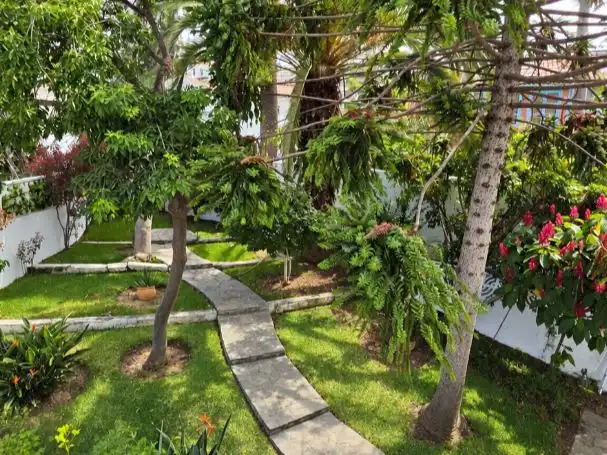 Jardí de Casa o xalet en venda en Puerto de la Cruz amb Terrassa i Piscina