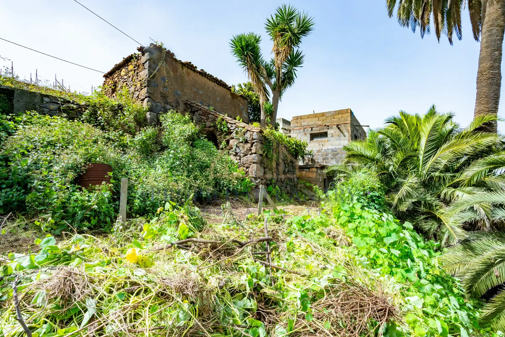 Finca rústica en venda en La Victoria de Acentejo