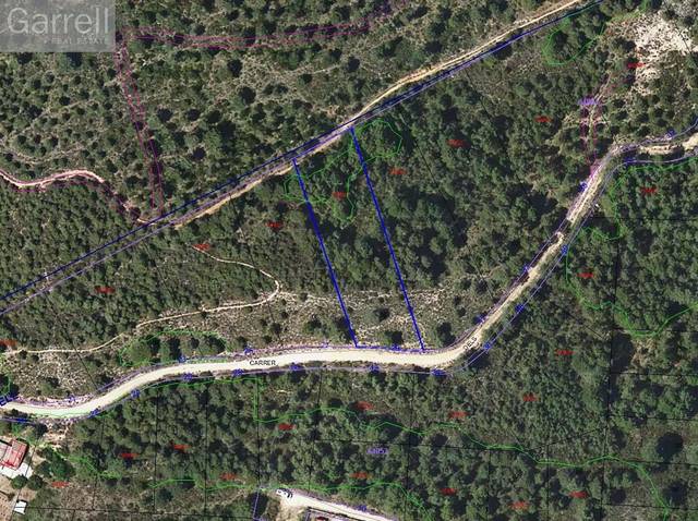 Terreno residencial en Venta en CL DELS PINS 
 EL MONTMELL (UR LA MOIXETA) (TARRA en Aiguamúrcia