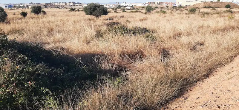 Terreno residenziale in vendita a Carretera de Circunvalación Oeste - PD BOVALAR, imagen 2