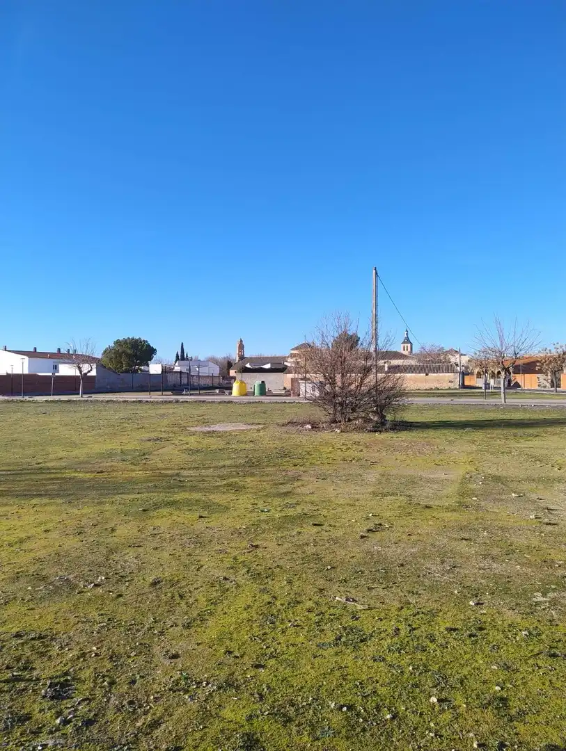 Terrenos y solares en venta en Calle CARRION, imagen 18