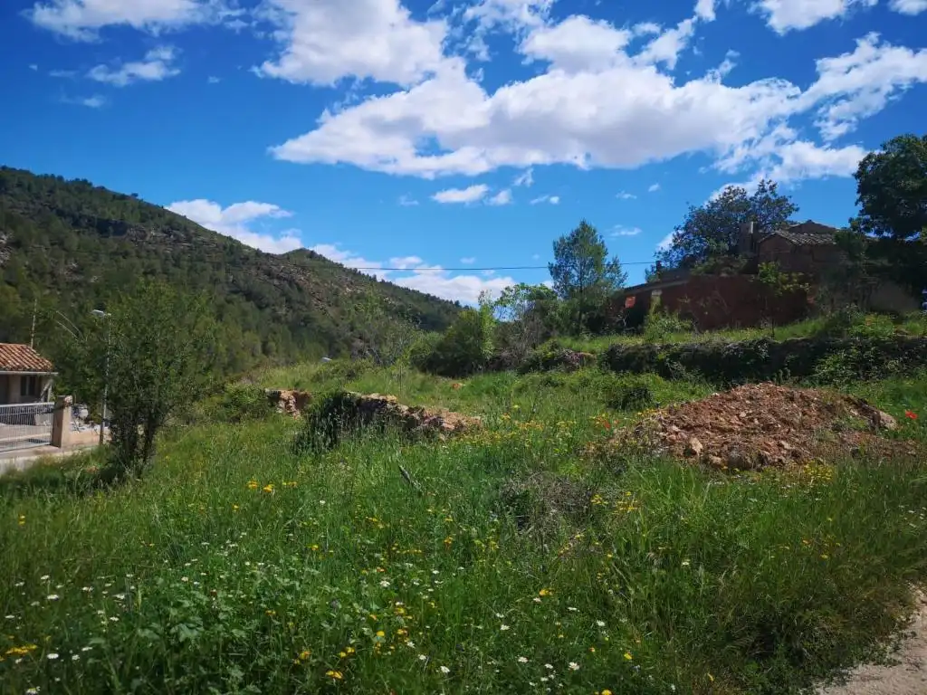 Terreny rústic en venda a PEDRALBA, imagen 7