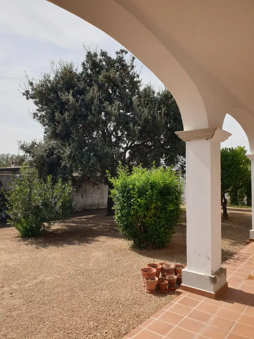 Chalet con piscina en venta en Parque de la Constitución 5a, imagen 3