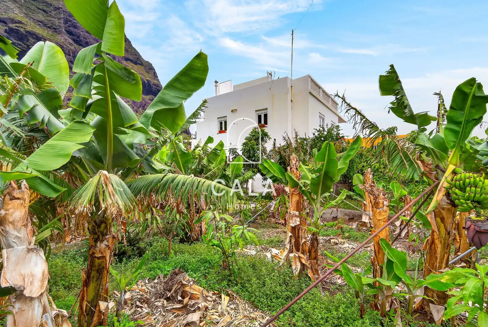 Exterior view of Houses for sale in Garachico  with Private garden, Terrace and Furnished