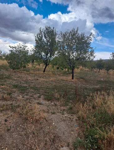 Terreno en Venta en Lanteira