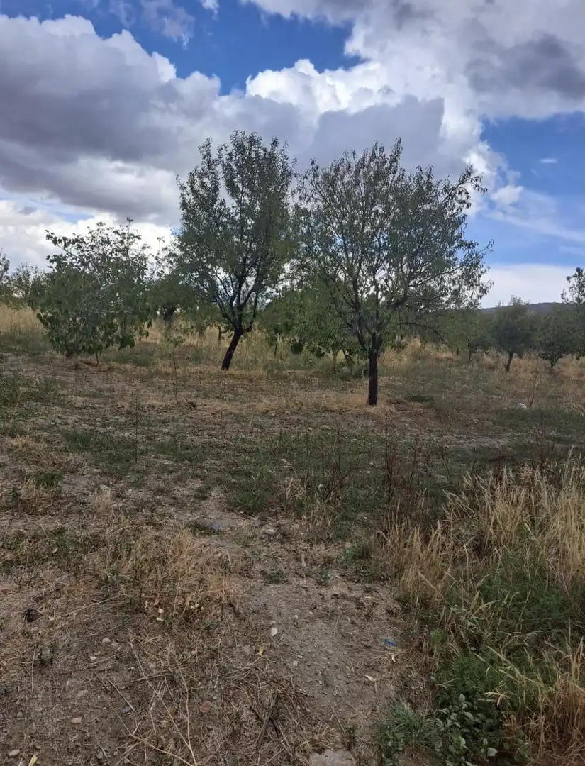 Lands and plots for sale in Lanteira
