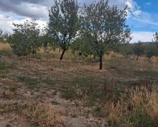 Terreny en venda en Lanteira