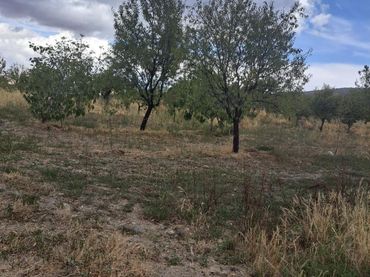 Terreno rústico en venta en Lanteira