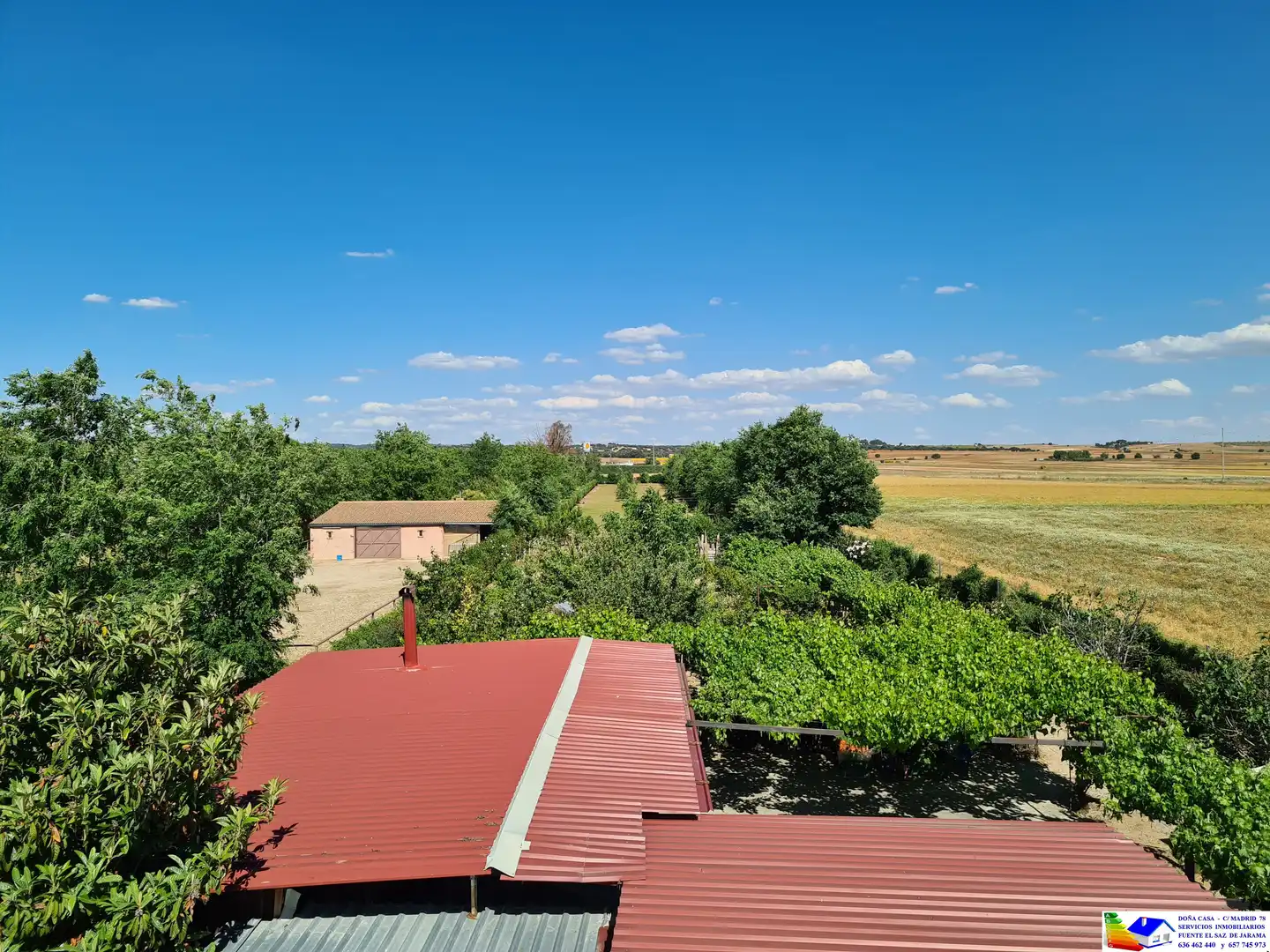Jardín de Casa o chalet en venta en Fuente El Saz de Jarama con Aire acondicionado, Calefacción y Jardín privado