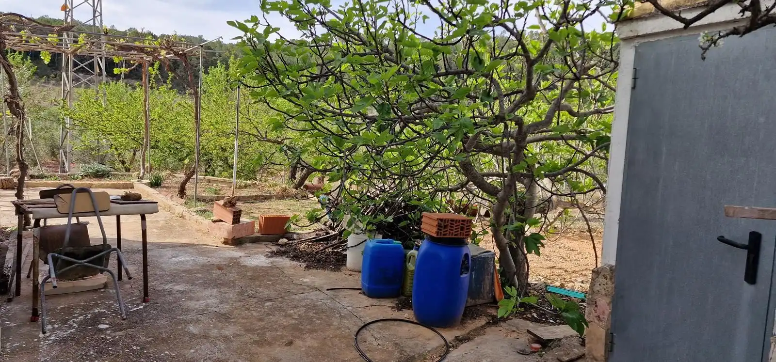 Casa rústica en venta en Cortes de Pallás, imagen 11