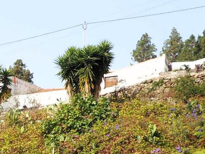 Vista exterior de Finca rústica en venda en Icod de los Vinos