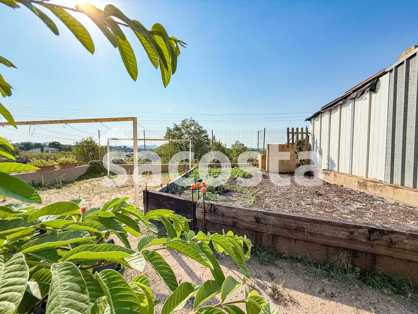 Finca rústica en venda a Mas Mora - Sant Daniel