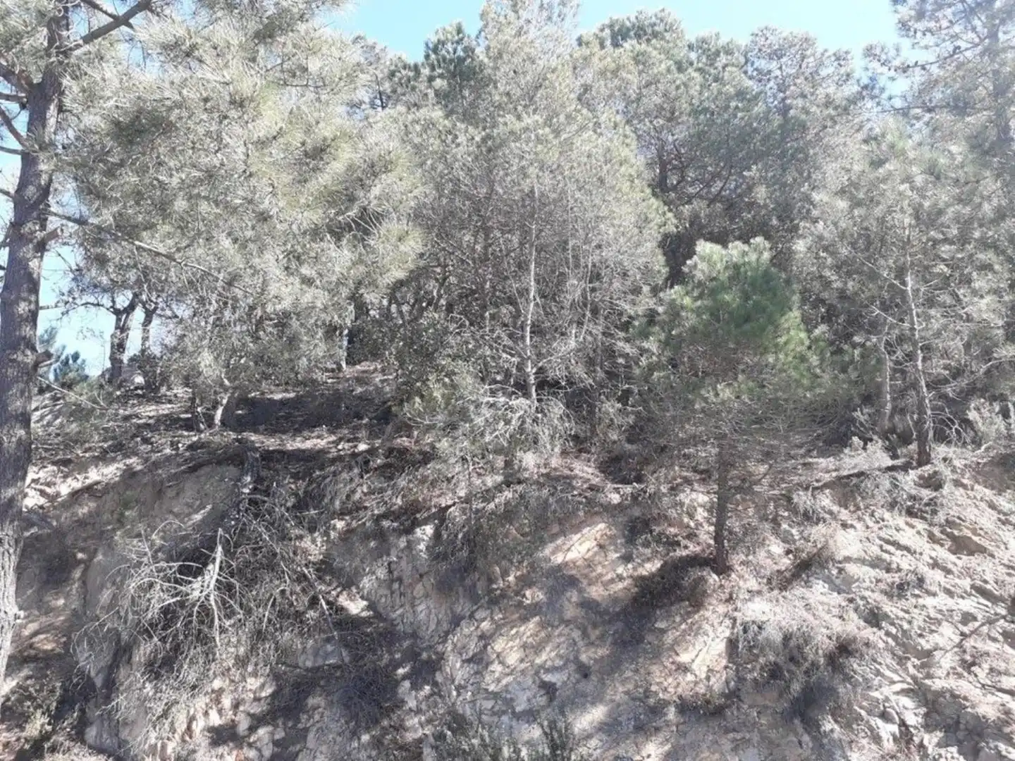 Grundstücke und Bauplätze zum Verkauf in Serra Brava, imagen 10