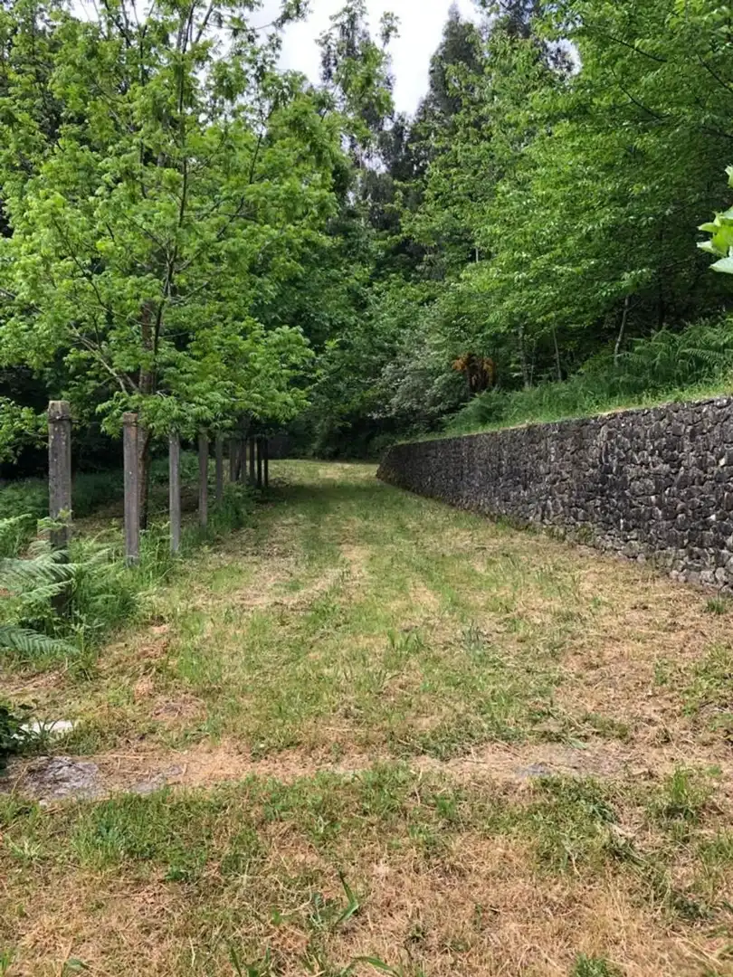 Rural land for sale in Parroquias Rurales, imagen 19