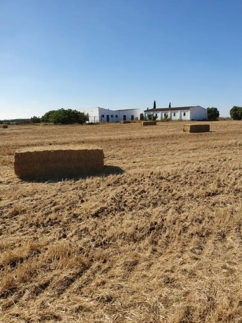 Country homes for sale in Chiclana de la Frontera  with Private garden