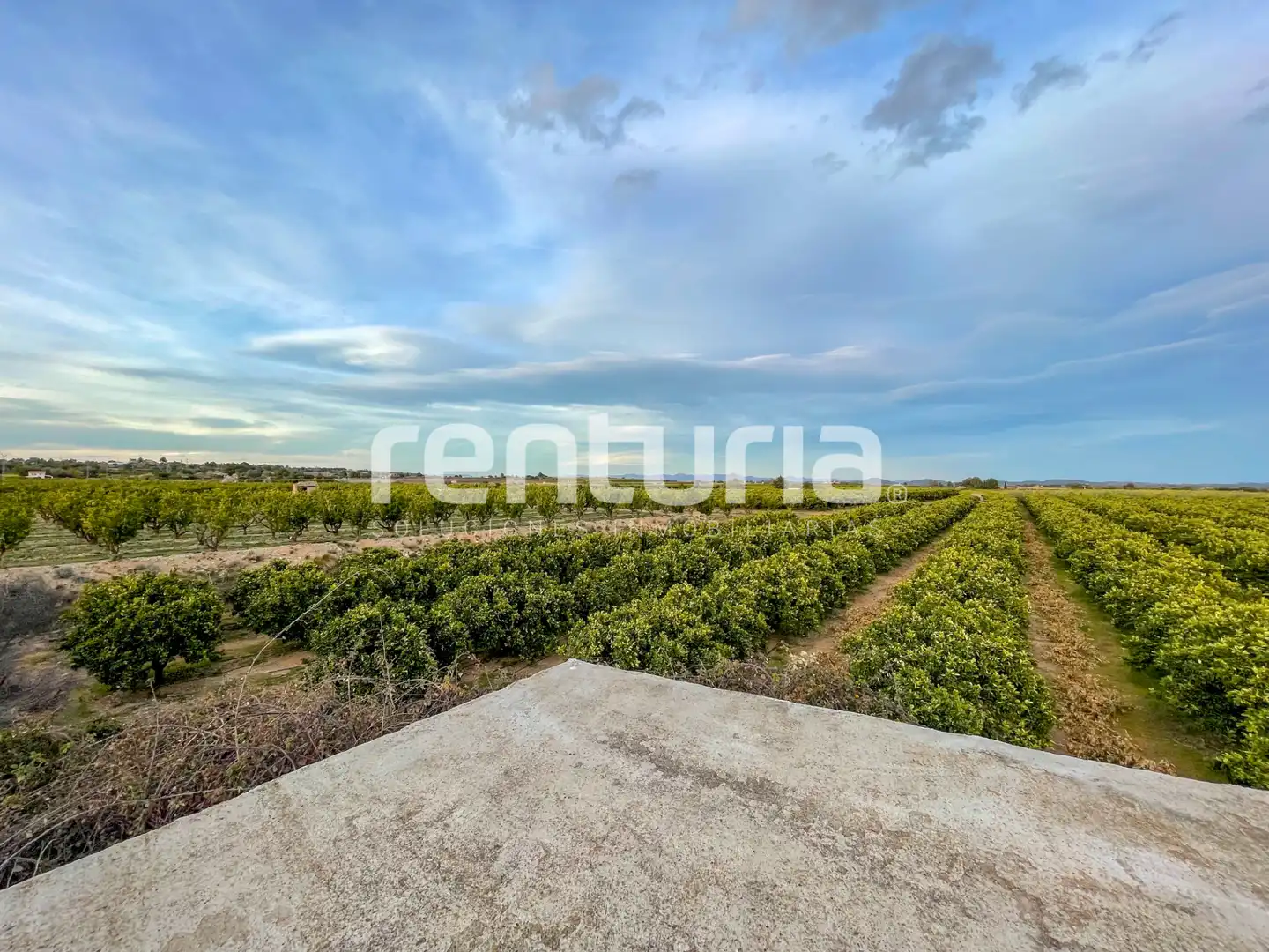 Rural land for sale in Plaça Numero 10, imagen 13