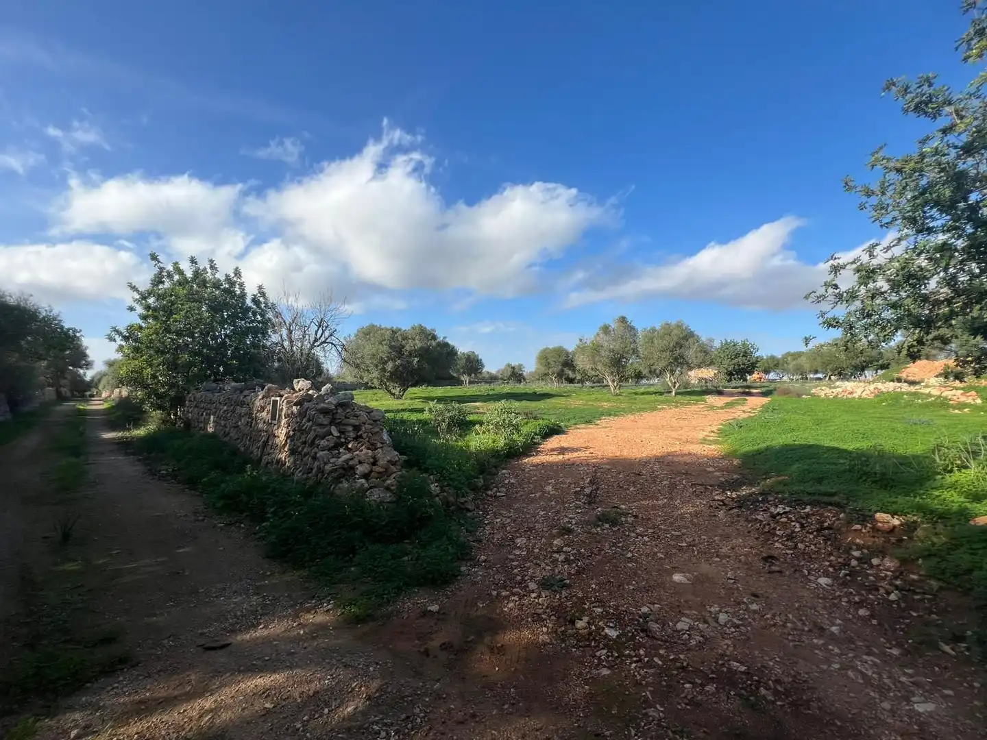 Terrenys i solars en venda a Santanyi, imagen 7