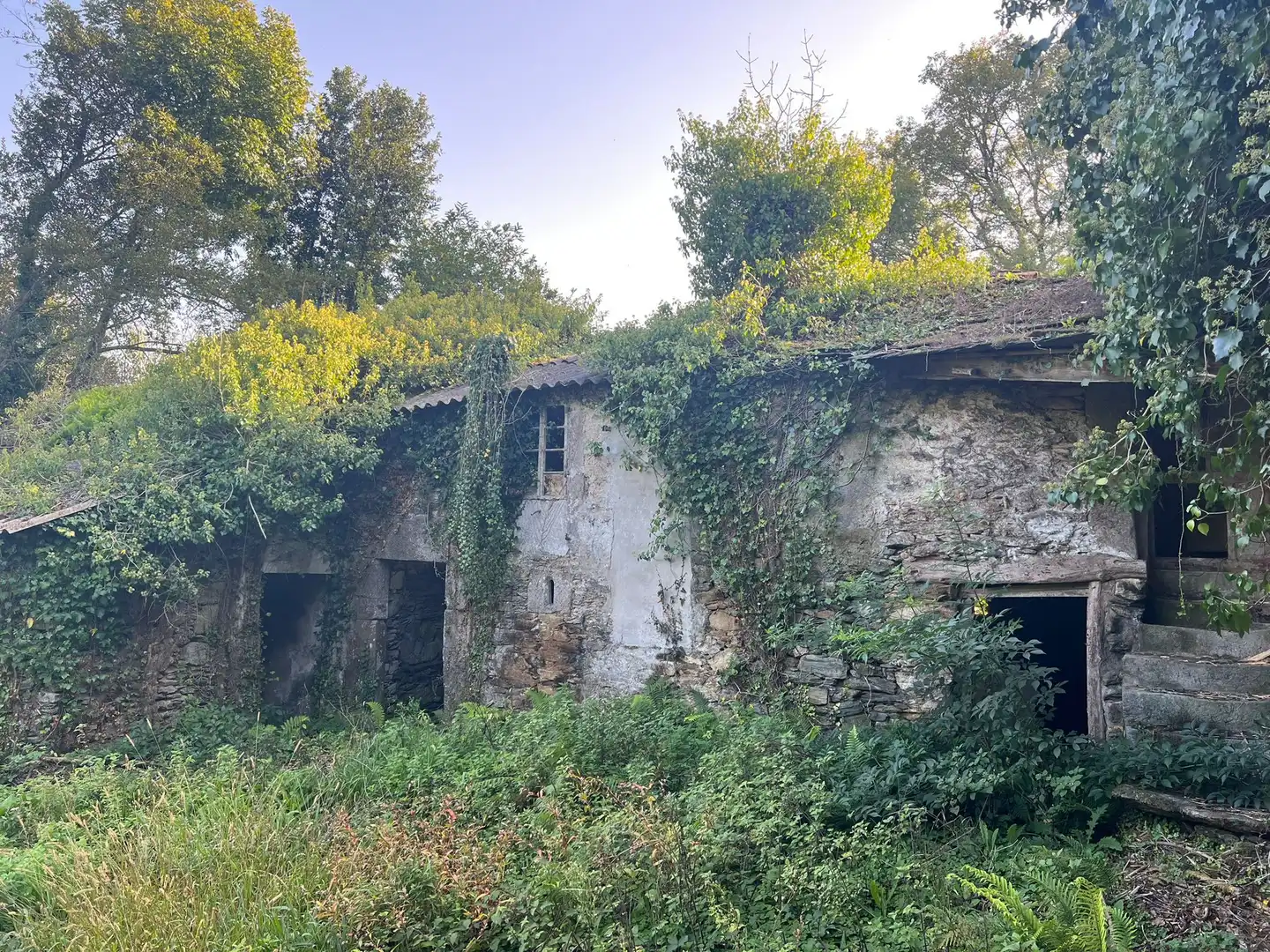 Haus mit Garten zum Verkauf in Moeche, imagen 46