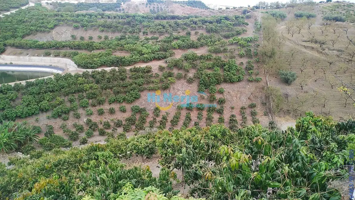 Terreni e lotti in vendita a Vélez-Málaga ciudad, imagen 3