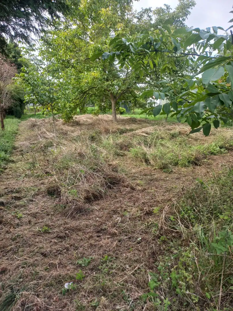 Terreni e lotti in vendita a A Gándara, imagen 2