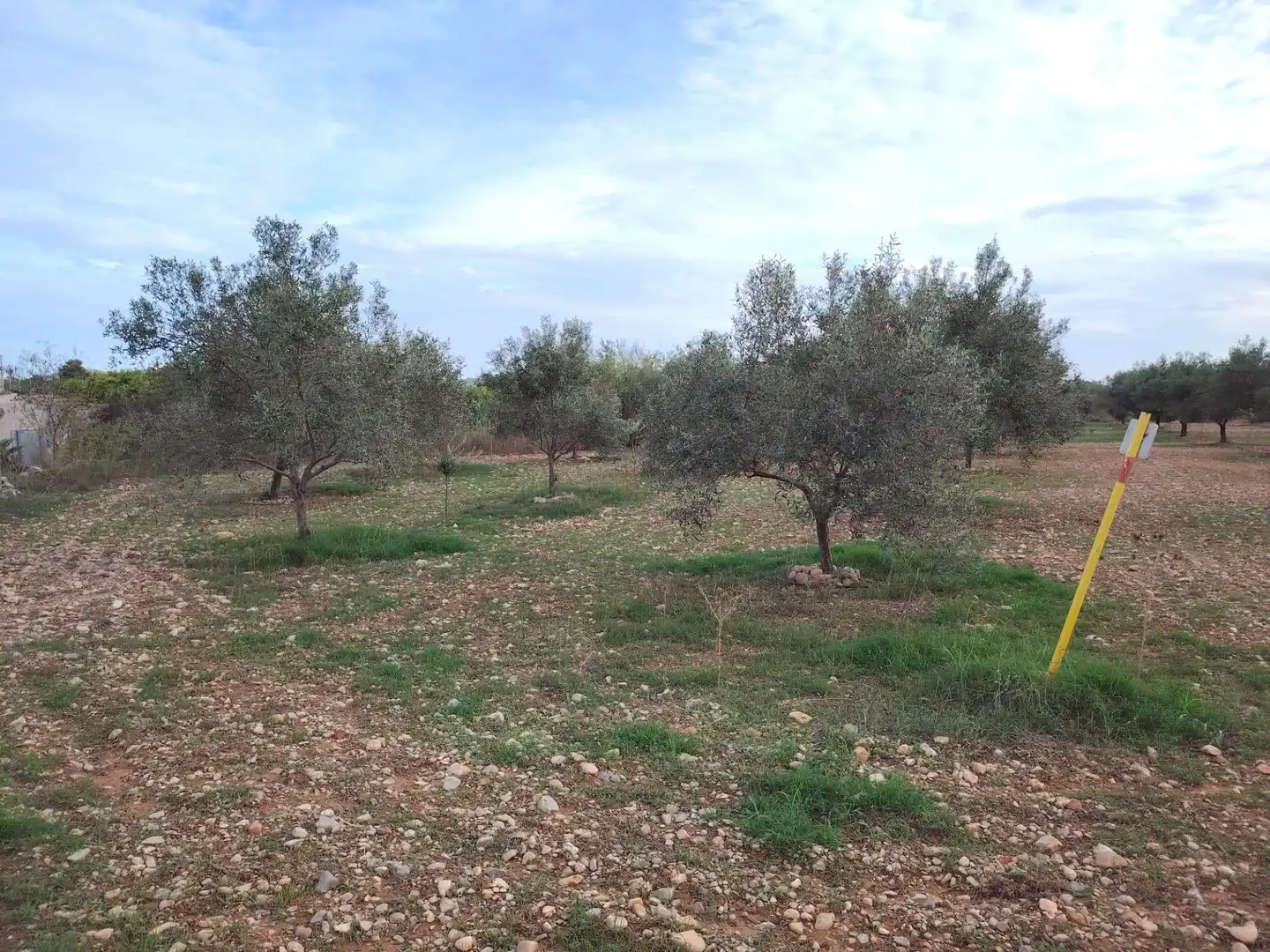 Terrain rustique à vendre à Santa Bárbara, imagen 5