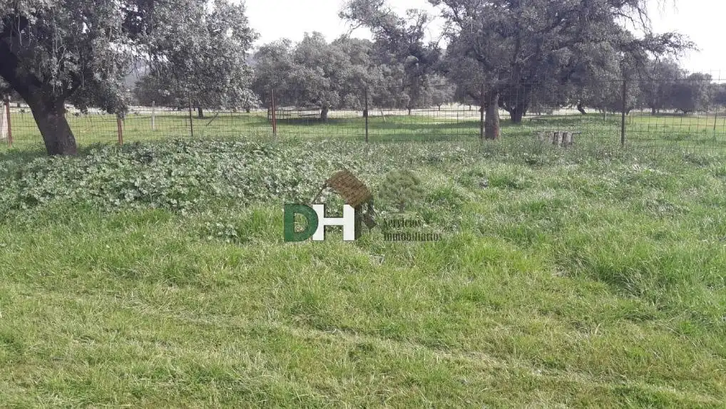 Terrenys i solars en venda a Santa María  - Pío XII, imagen 6