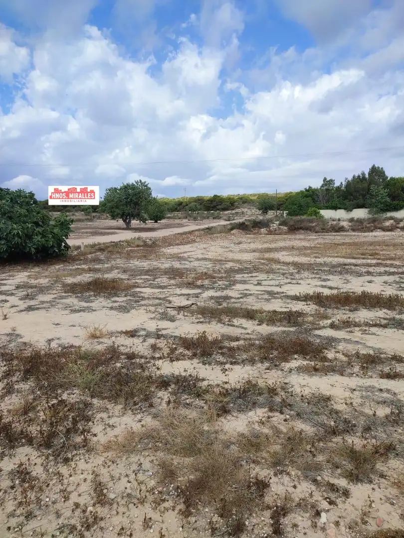 Country homes for sale in Elche / Elx