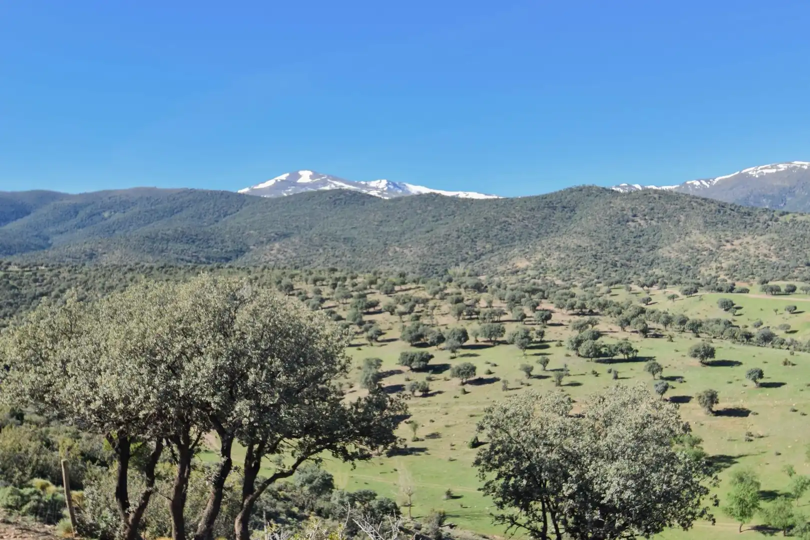 Terreno en venta en Paraje de las Perdices, Lugros