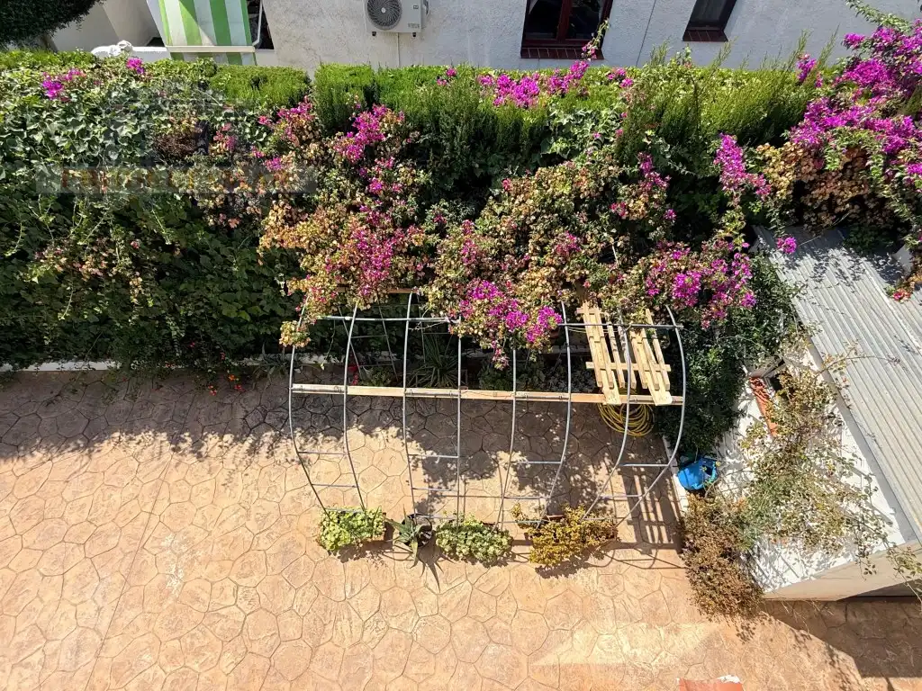 Casa bifamiliare in vendita a Calle Azalees De Les, imagen 11