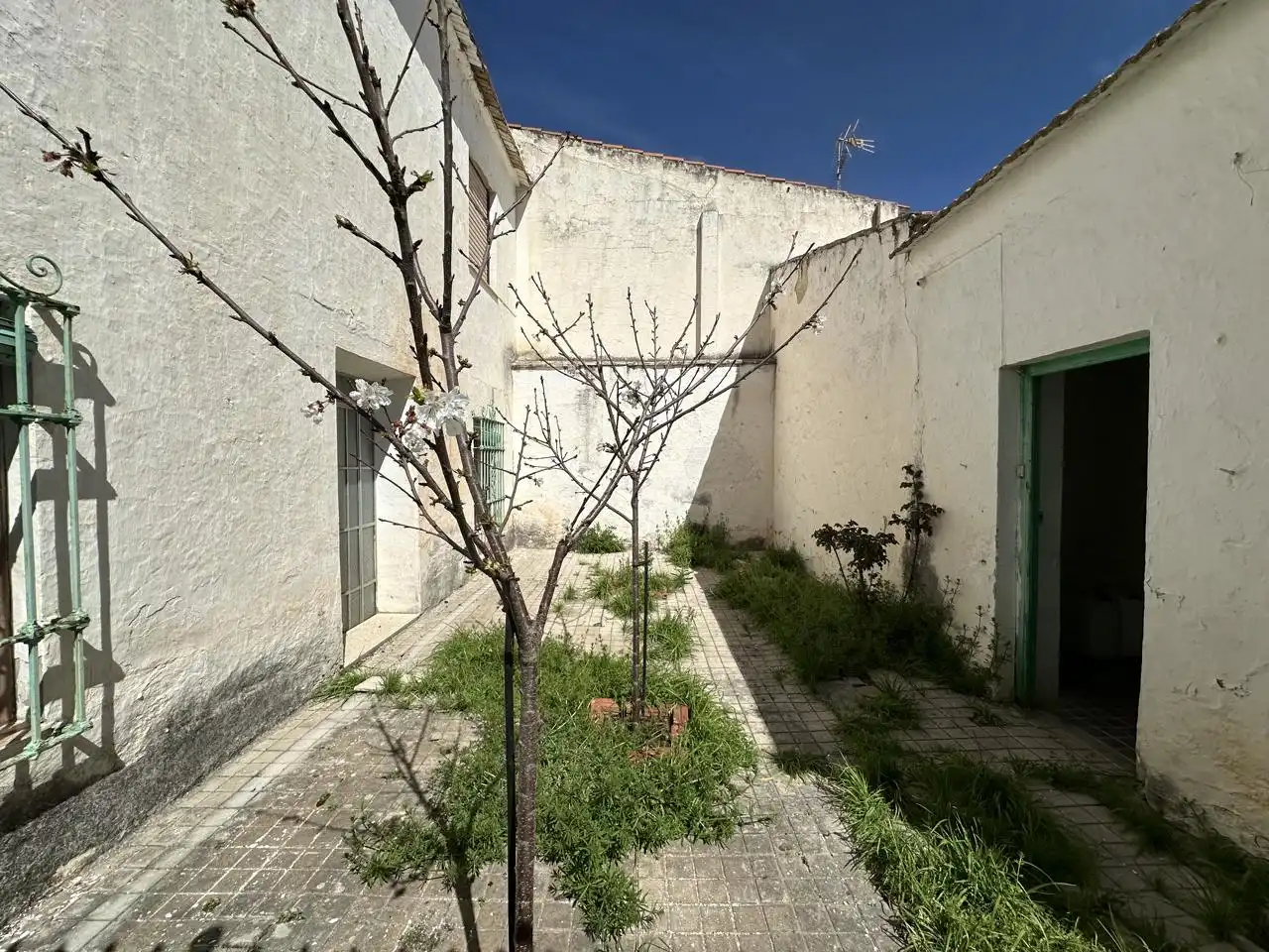 Jardín de Casa o chalet en venta en Fuente de Piedra con Jardín privado y Trastero