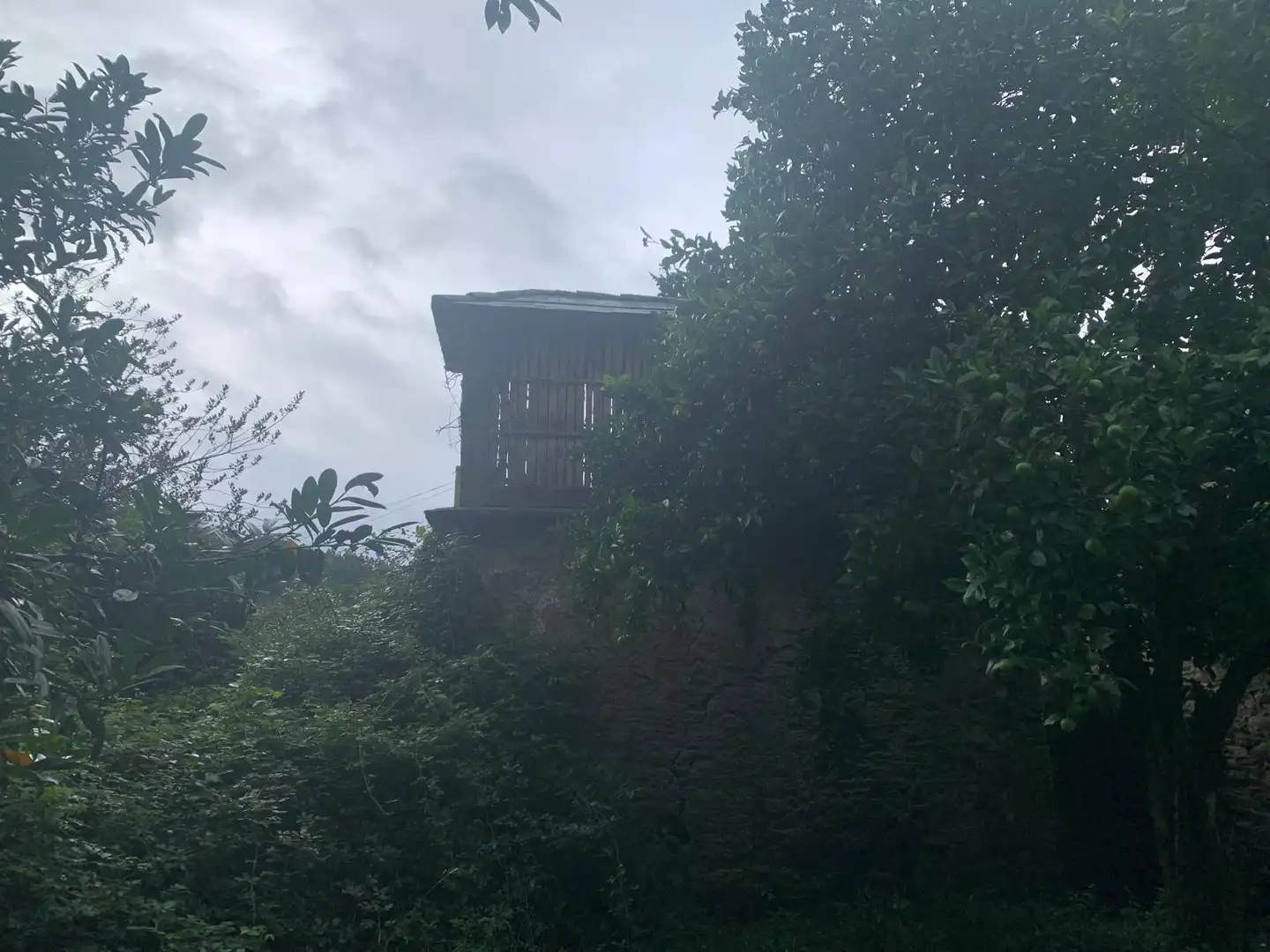 Casa rústica en venda a Camino Castillo Arriba, imagen 43