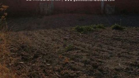 Photo 4 of Residential for sale in Moriles, Córdoba