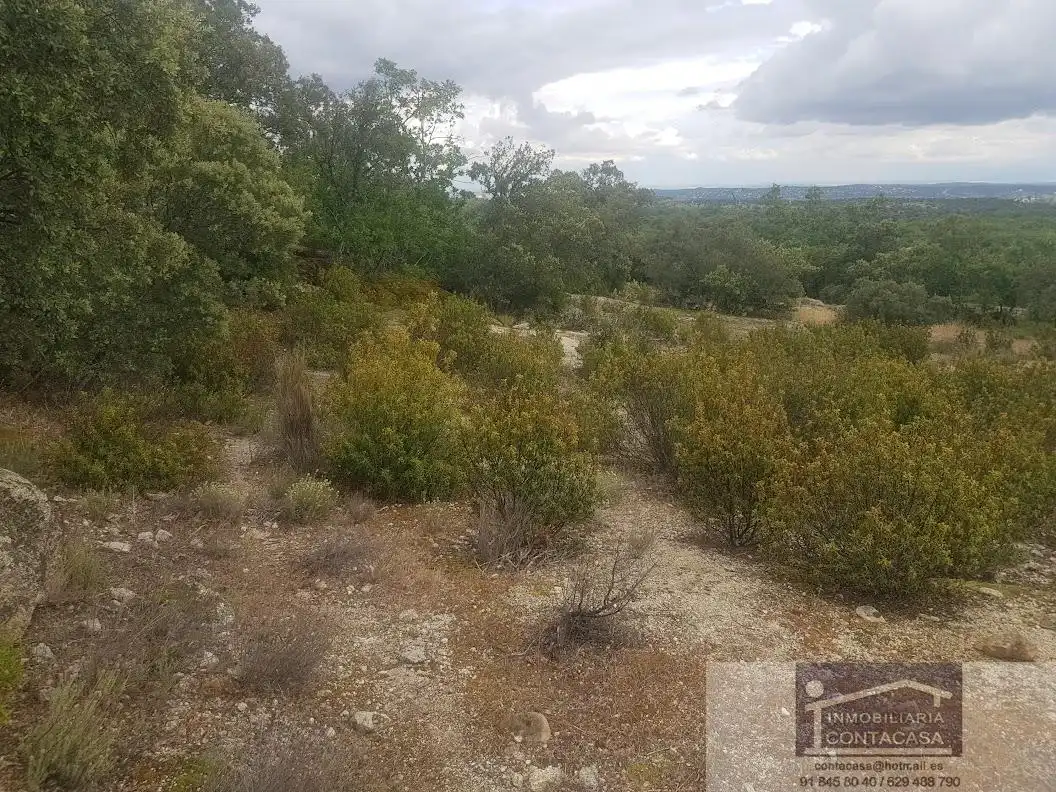 Finca rústica en venta en La Cabrera