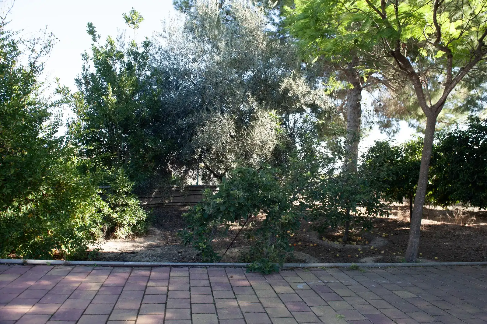 Villa con giardino in vendita a Calle Montalbán, imagen 27