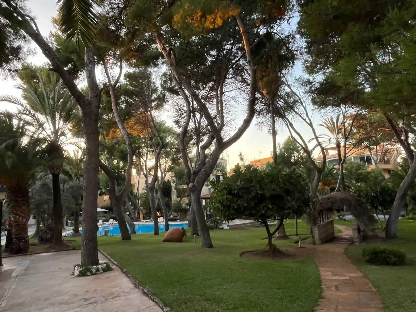 Penthouse with pool to rent in Santa Ponça, imagen 6