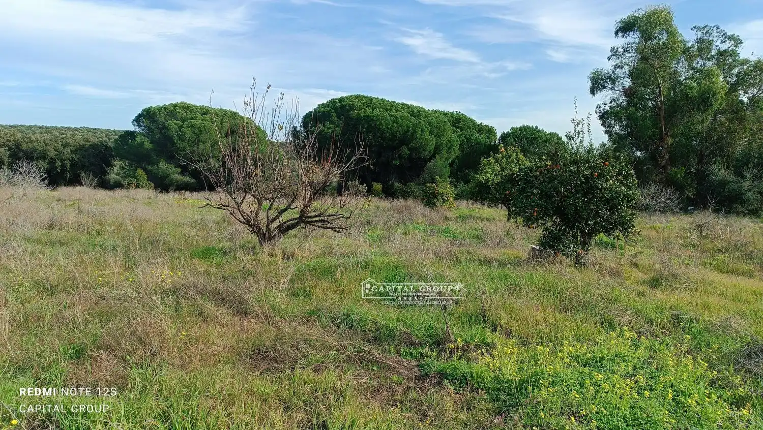 Terrenos y solares en venta en Gibraleón, imagen 29