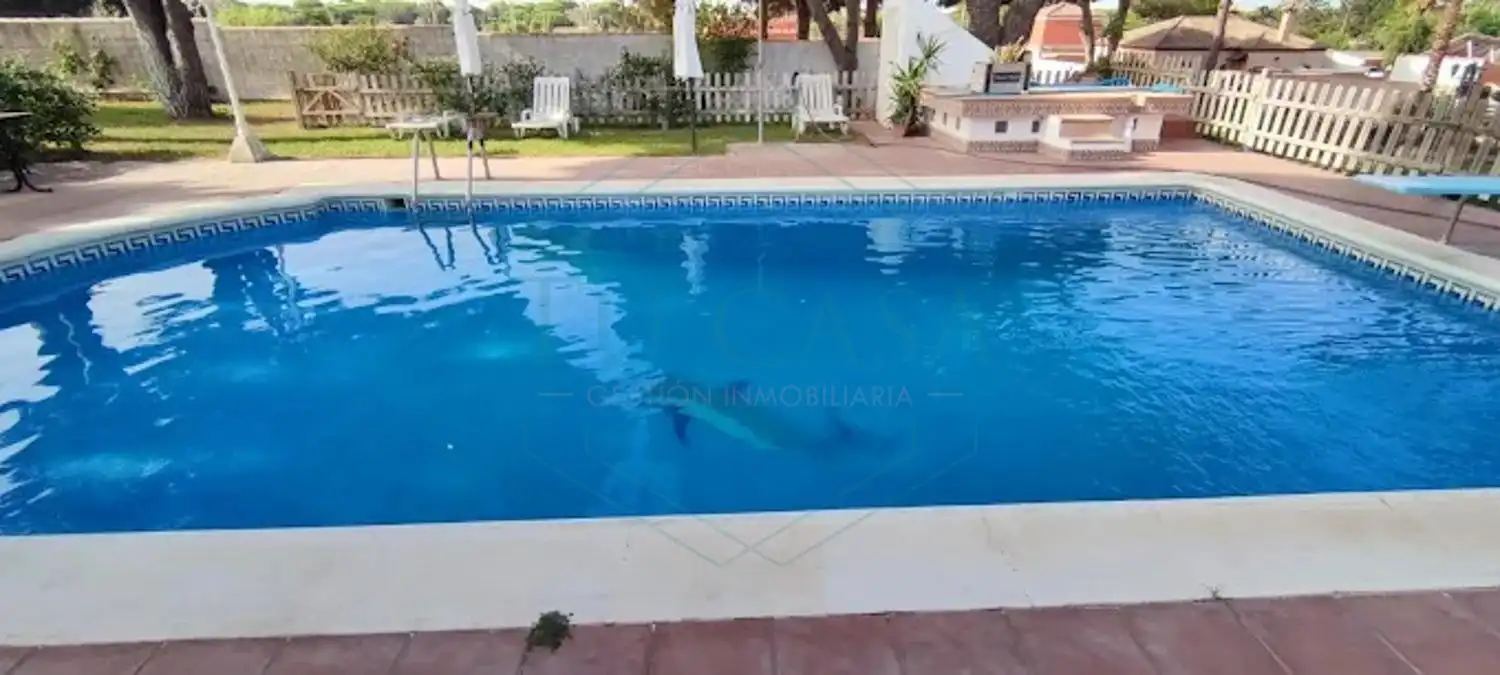 Chalet con piscina en venta en Los Franceses – La Vega, imagen 5