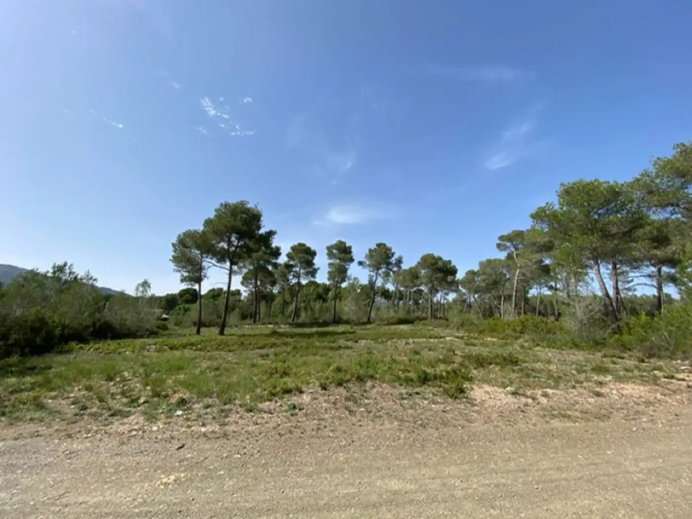 Terreny residencial en venda a Cabra del Camp, imagen 3