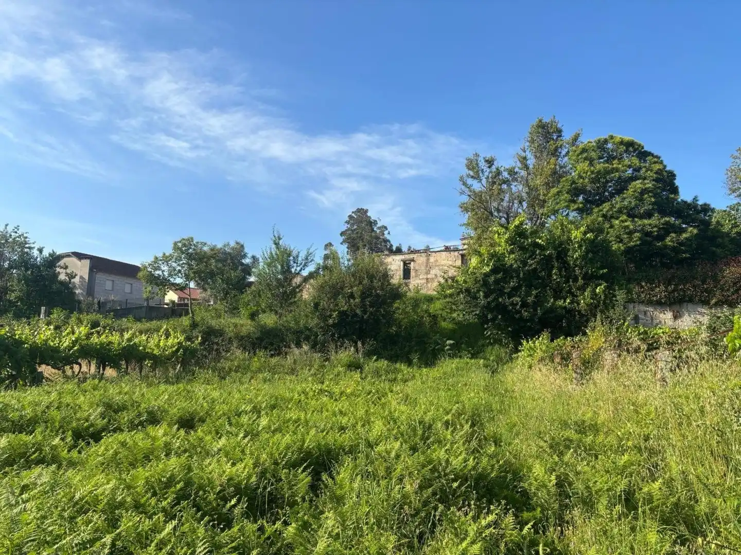 Casa rústica en venda a Salvaterra de Miño, imagen 32