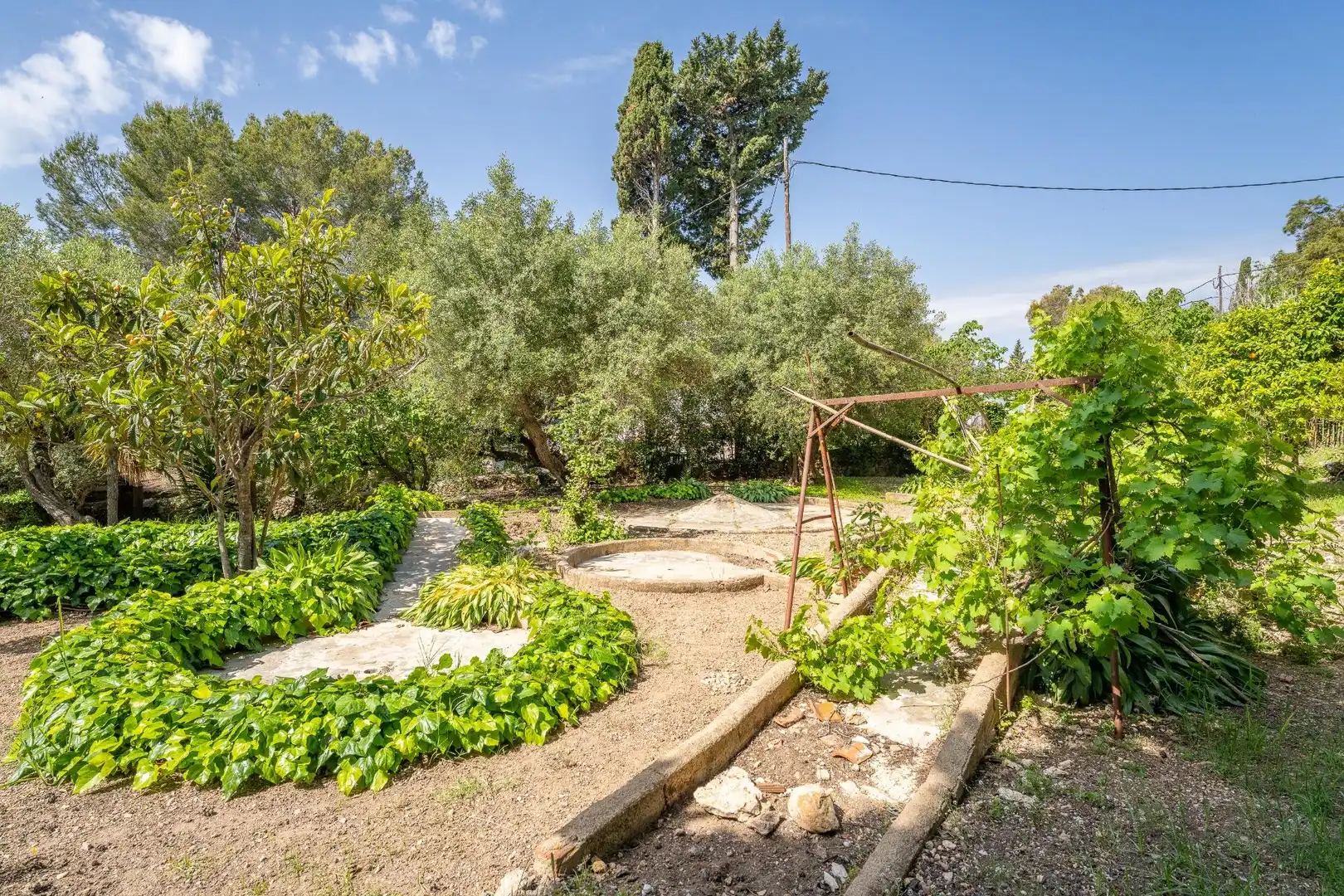 Villa avec piscine à vendre à MUNTANYA OLIVA-I, imagen 8