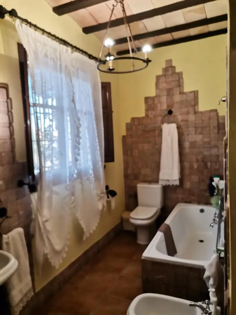 Villa con piscina in vendita a Pedanías Sur, imagen 29