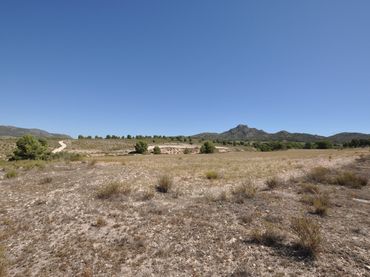 Wohnbaugrundstück zum Verkauf in Salinas