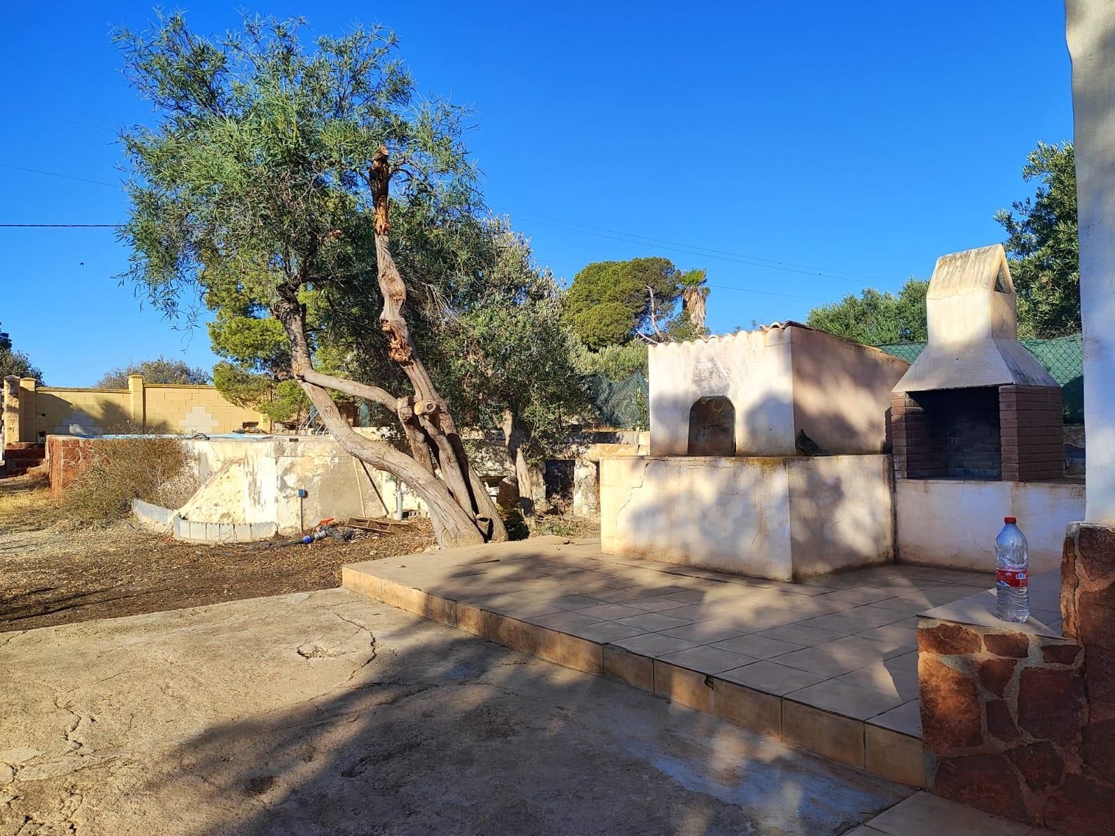 Jardí de Finca rústica en venda en Níjar amb Terrassa