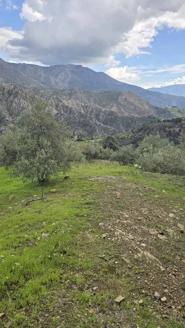 Terreno rustico in vendita a Polígono 11 Parcela 96 EL CERRILLAR. LOS GUAJARES (GRANADA), imagen 13