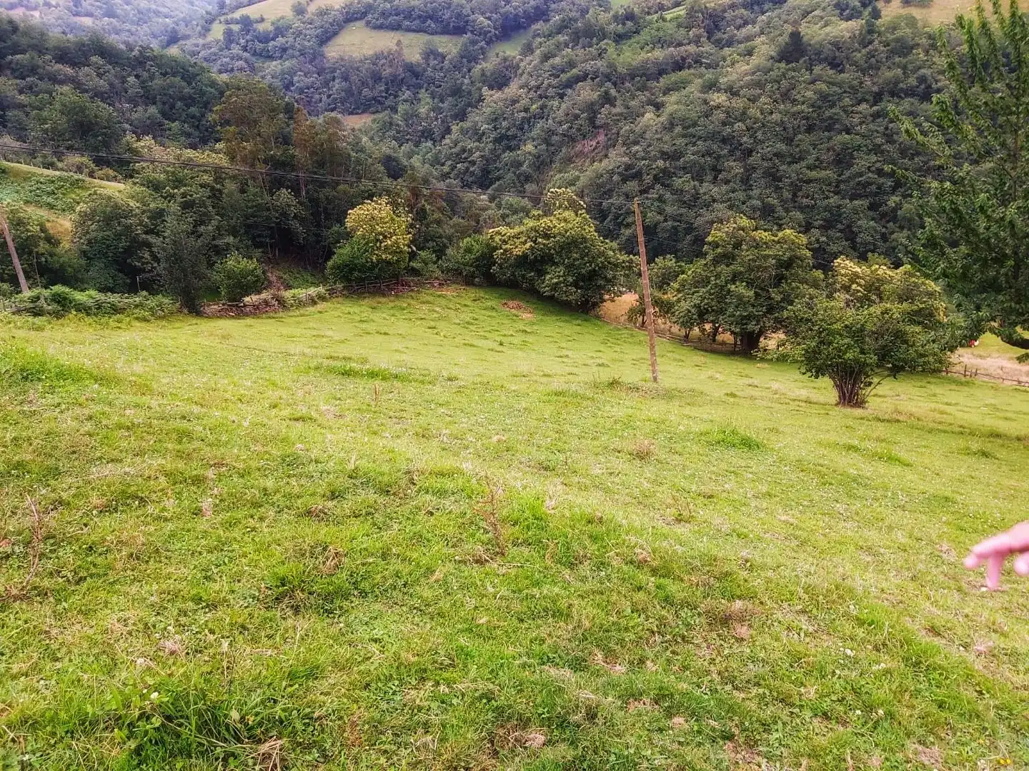 Terreno en venta en Laviana