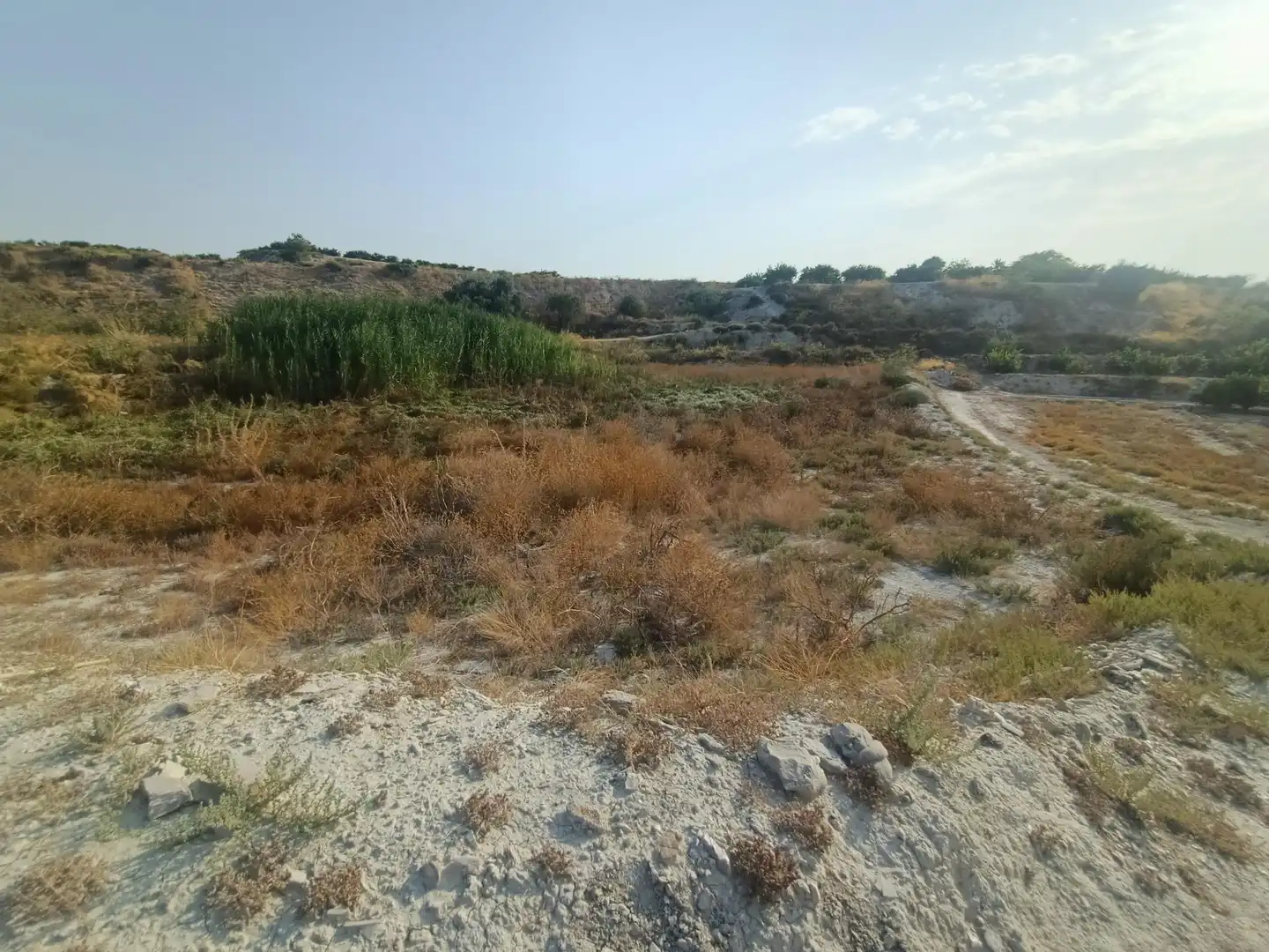 Terreny residencial en venda a Alguazas, imagen 3