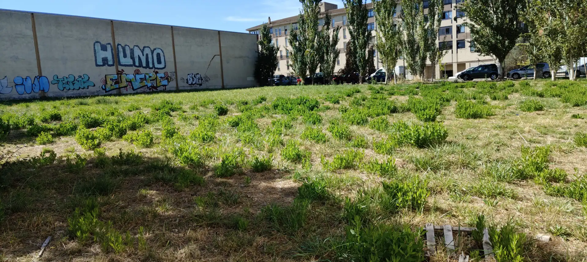 Terreny industrial en venda a Polígono Talluntxe - E, imagen 3