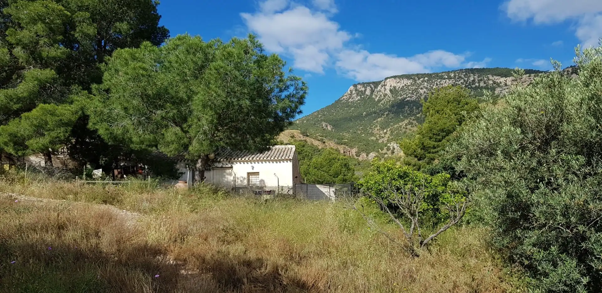 Casa o chalet en venta en Aledo con Terraza y Trastero