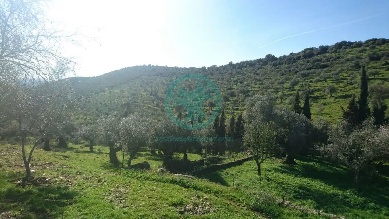 Xalet amb jardí en venda a Calle Buenavista, imagen 7